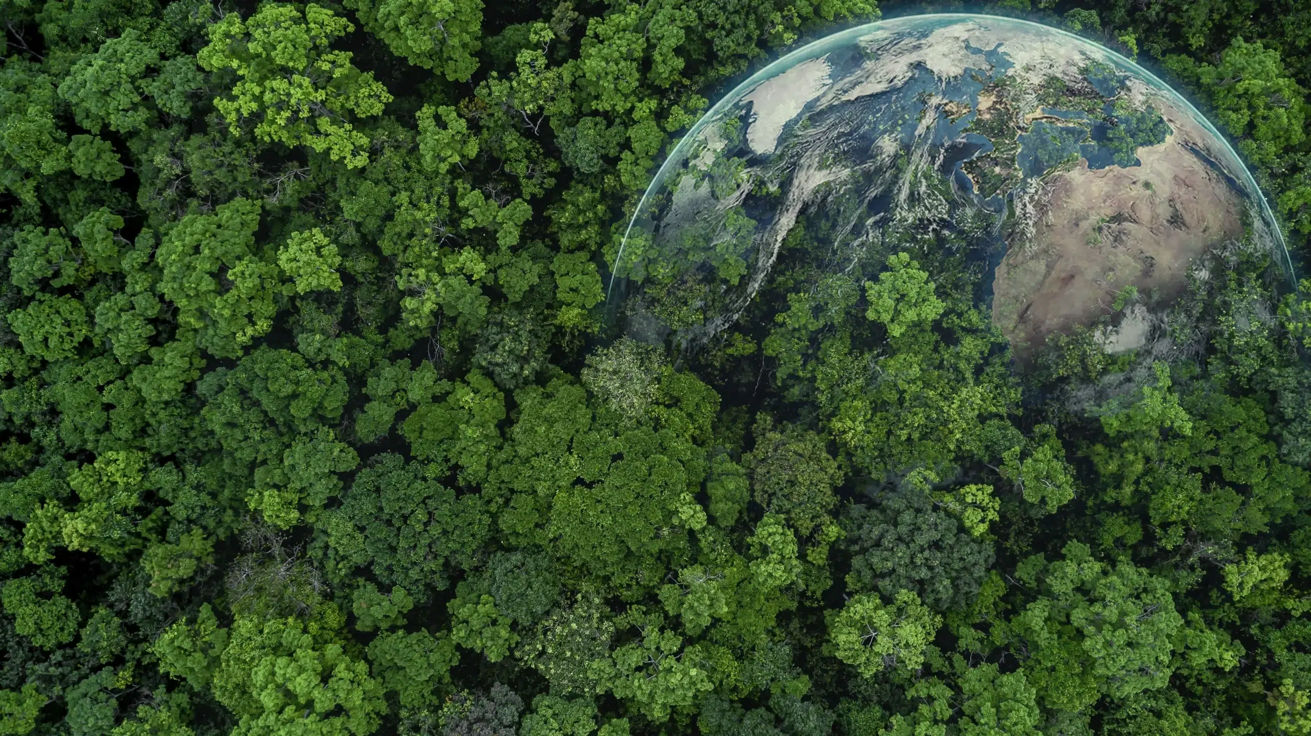 Earth image - Sustainability