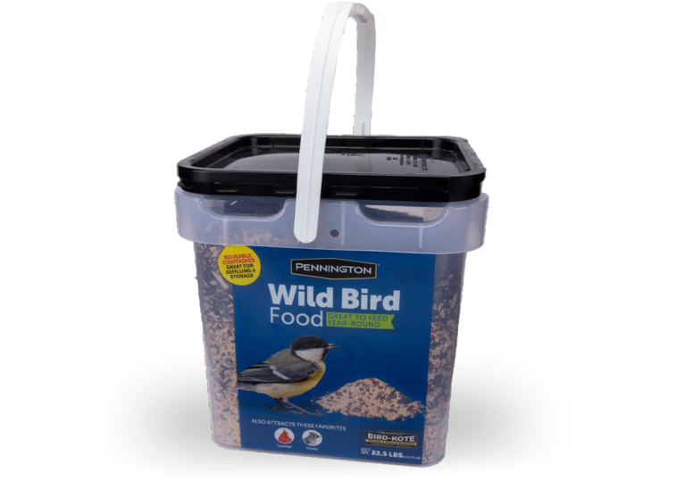wild bird food 2