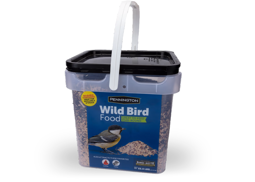 wild bird food 2