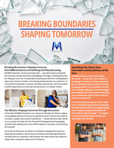 Breaking Boundaries Sales Sheet Front